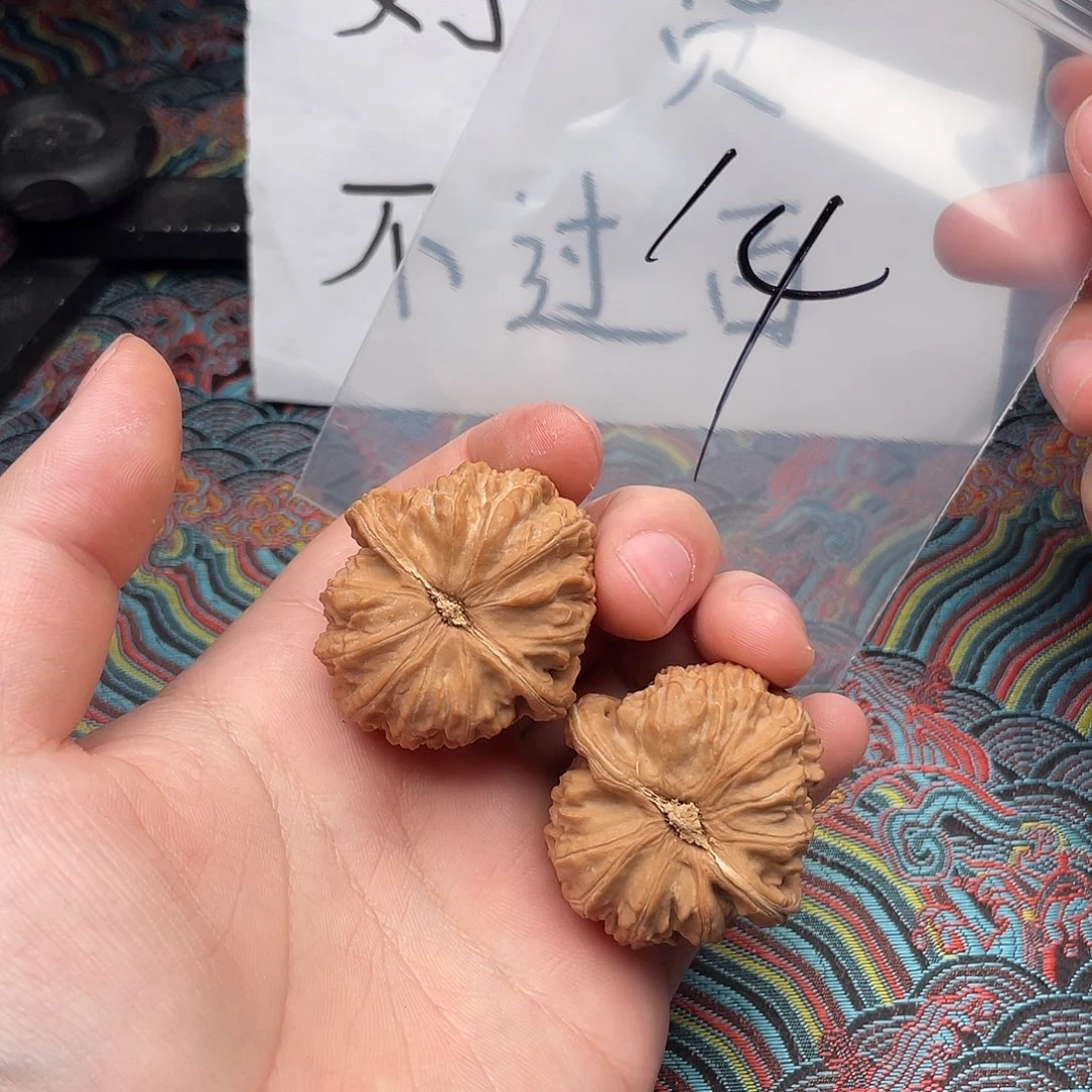 核桃哈哈哈哈哈哈哈哈哈哈哈哈