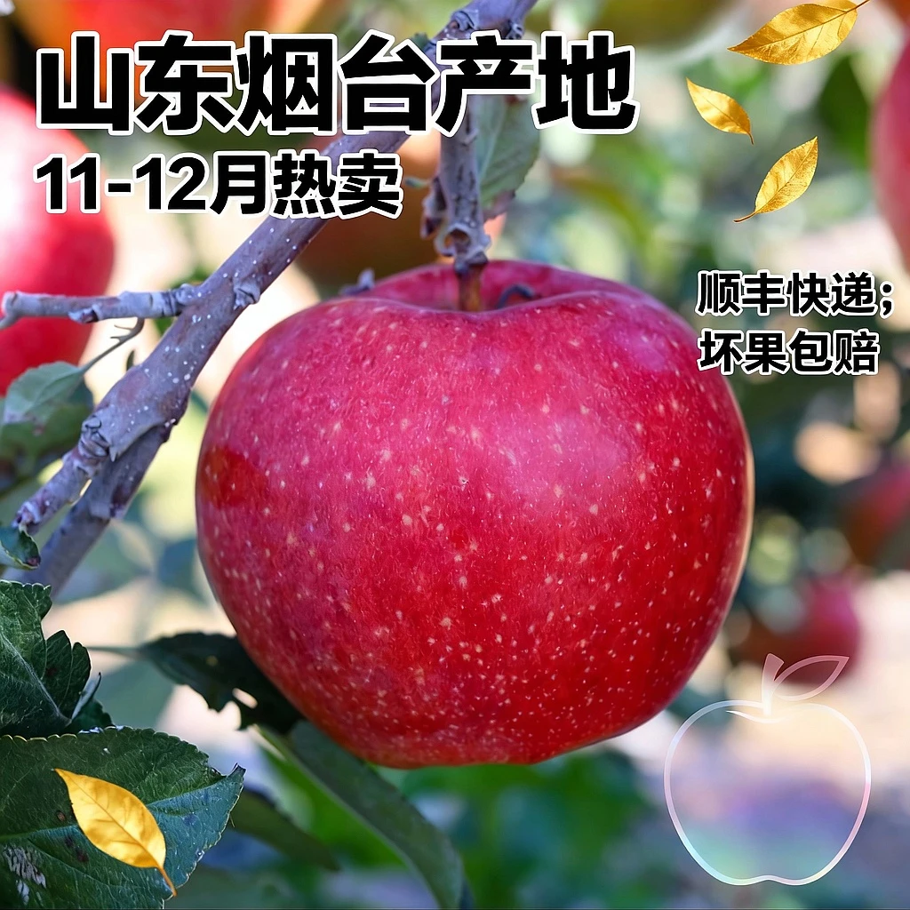 【顺丰快递】于胖子 山东烟台爱香妃苹果4.5斤