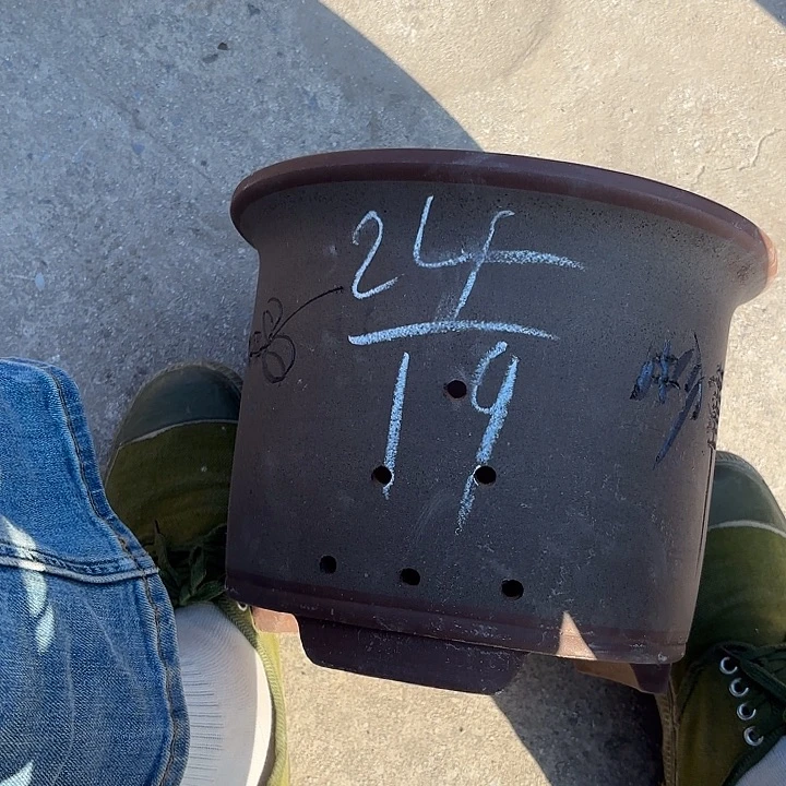 紫砂花瓶紫砂等珍贵