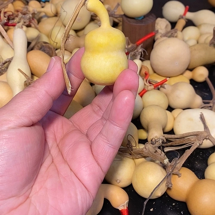 阳**宠精品葫芦手把葫芦63