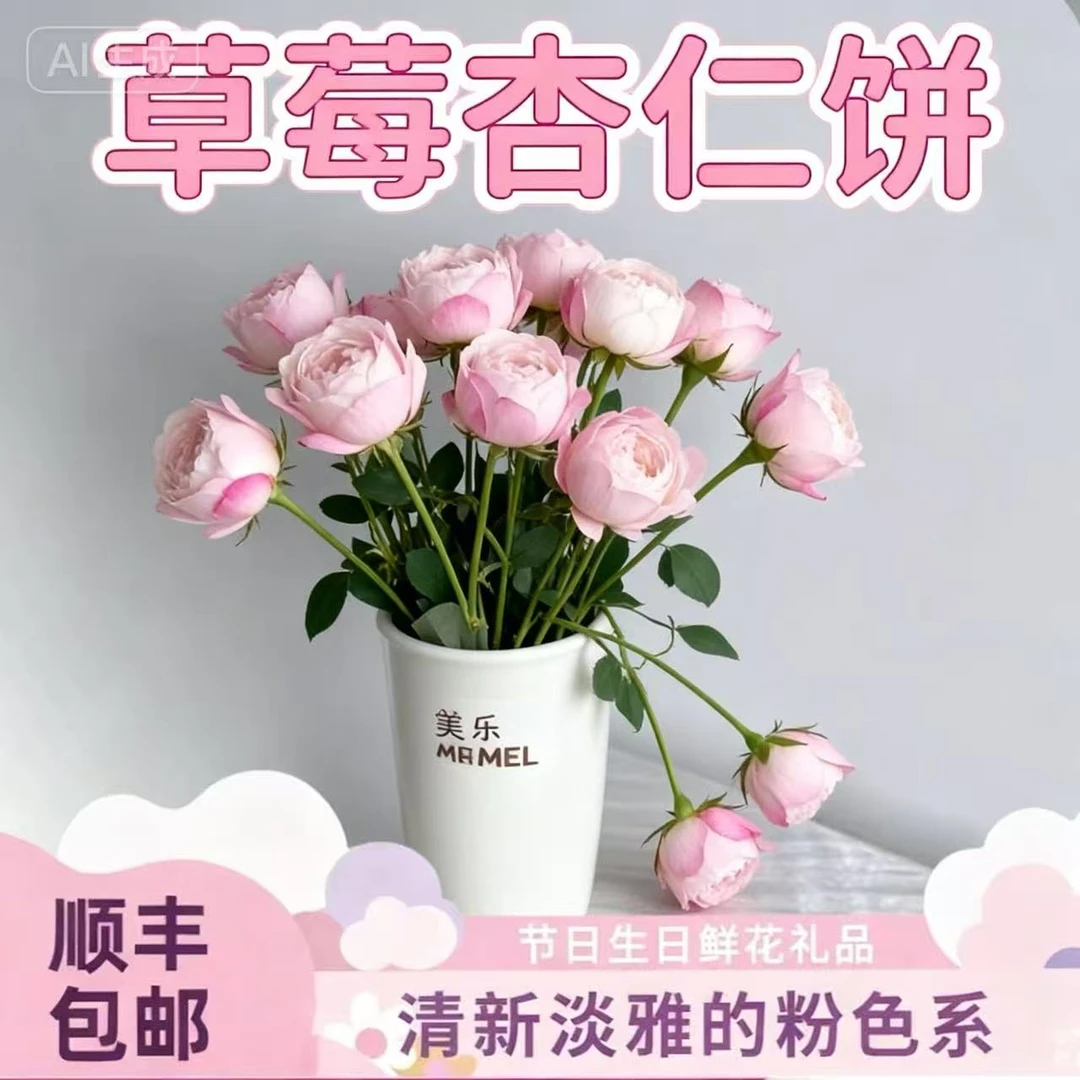 稀有小众酷皮泡泡多头玫瑰鲜花云南基地直发适合家用
