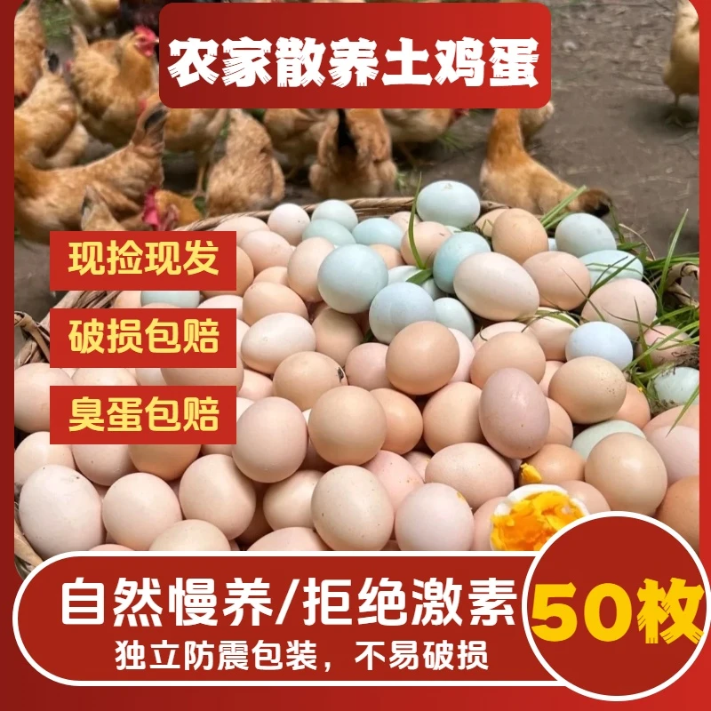 【粉丝专属】50枚农家散养谷物喂养土鸡蛋每日现捡现发