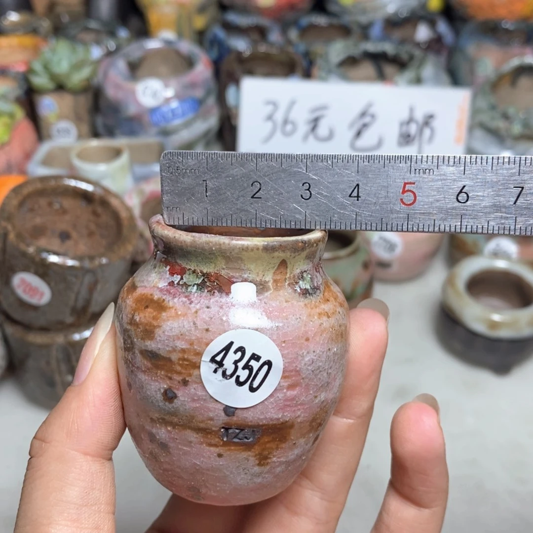 拍5送一个小礼物