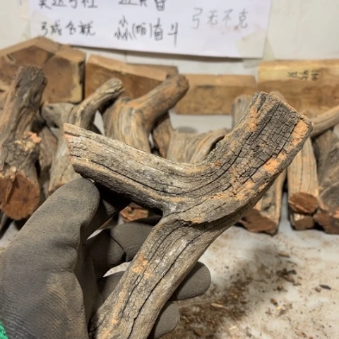 大果紫檀（缅甸花梨）老*