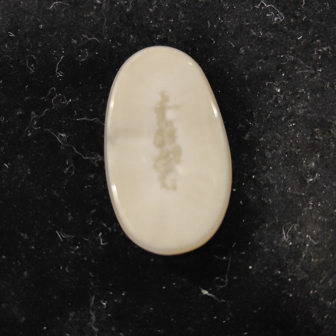 猛犸猛犸虬饼子WT689