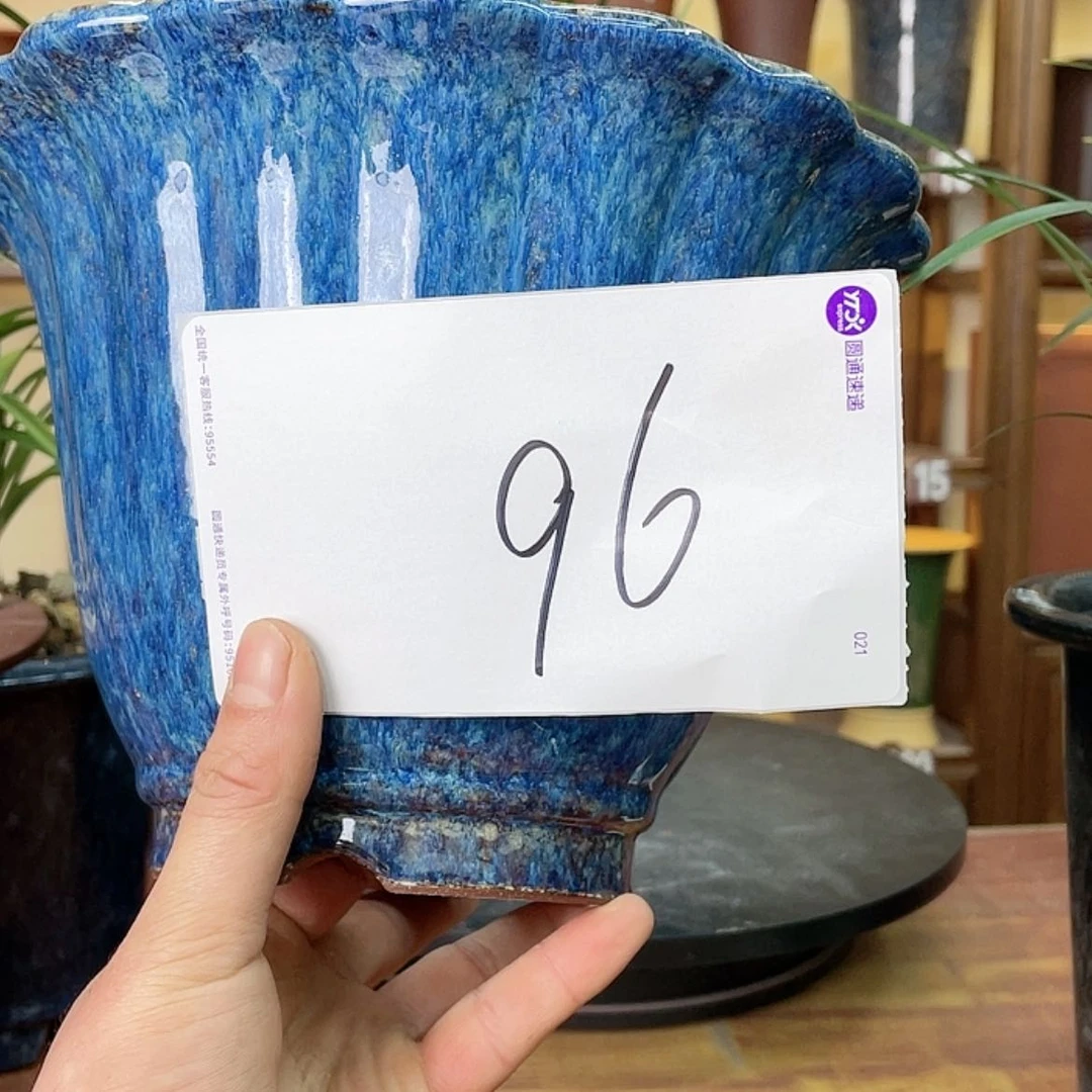 【闪购商品】紫砂花盆兰花455655455555548566