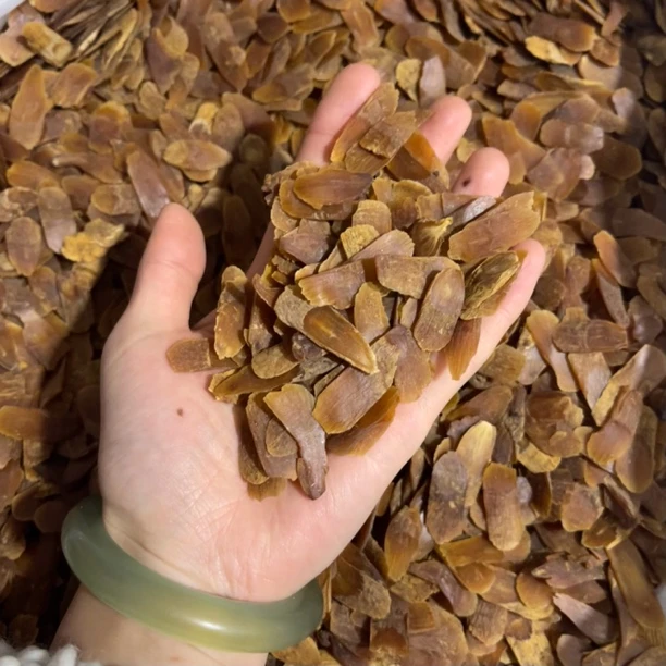 长白山无糖红参片 1.0直径小片 五年 自己吃实惠 跟吃大片一样