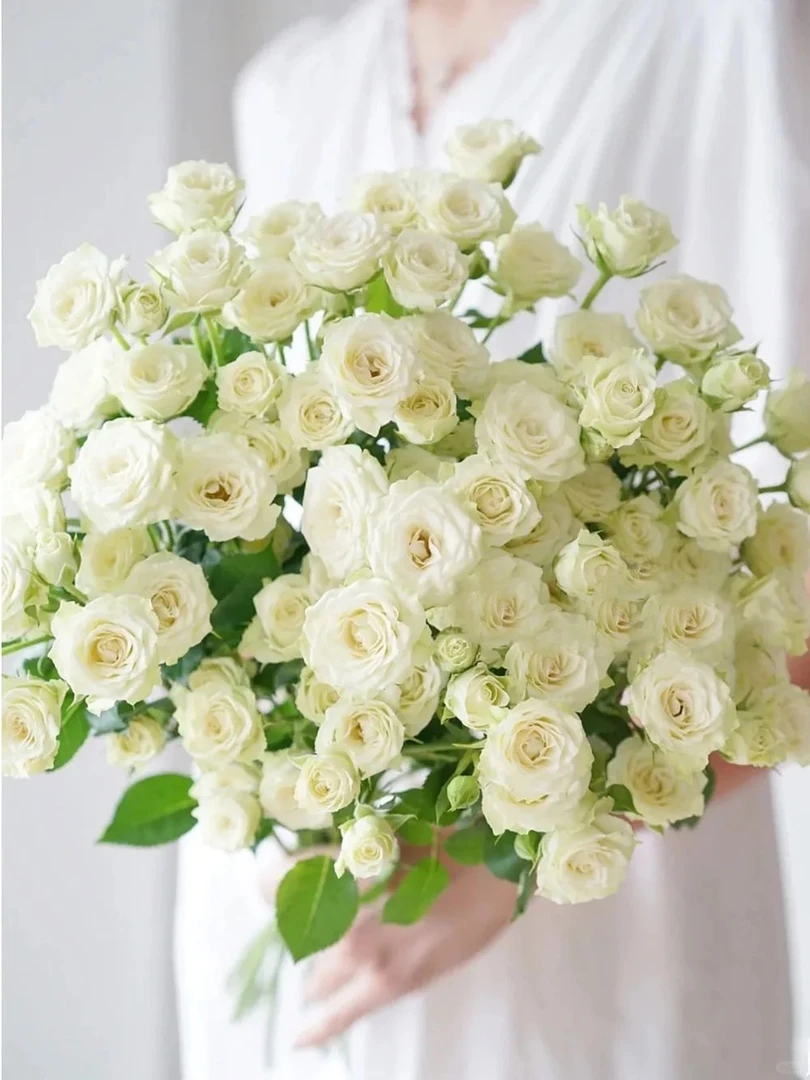 【花汀私享】繁星-多头玫瑰（注意带包装醒花哦~）