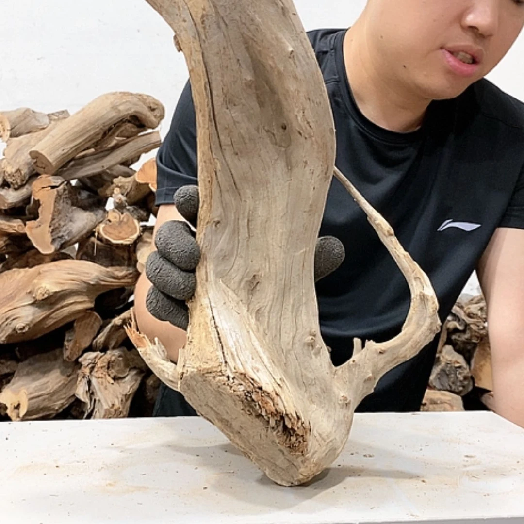 【闪购商品】柏木小*我们都是好孩子