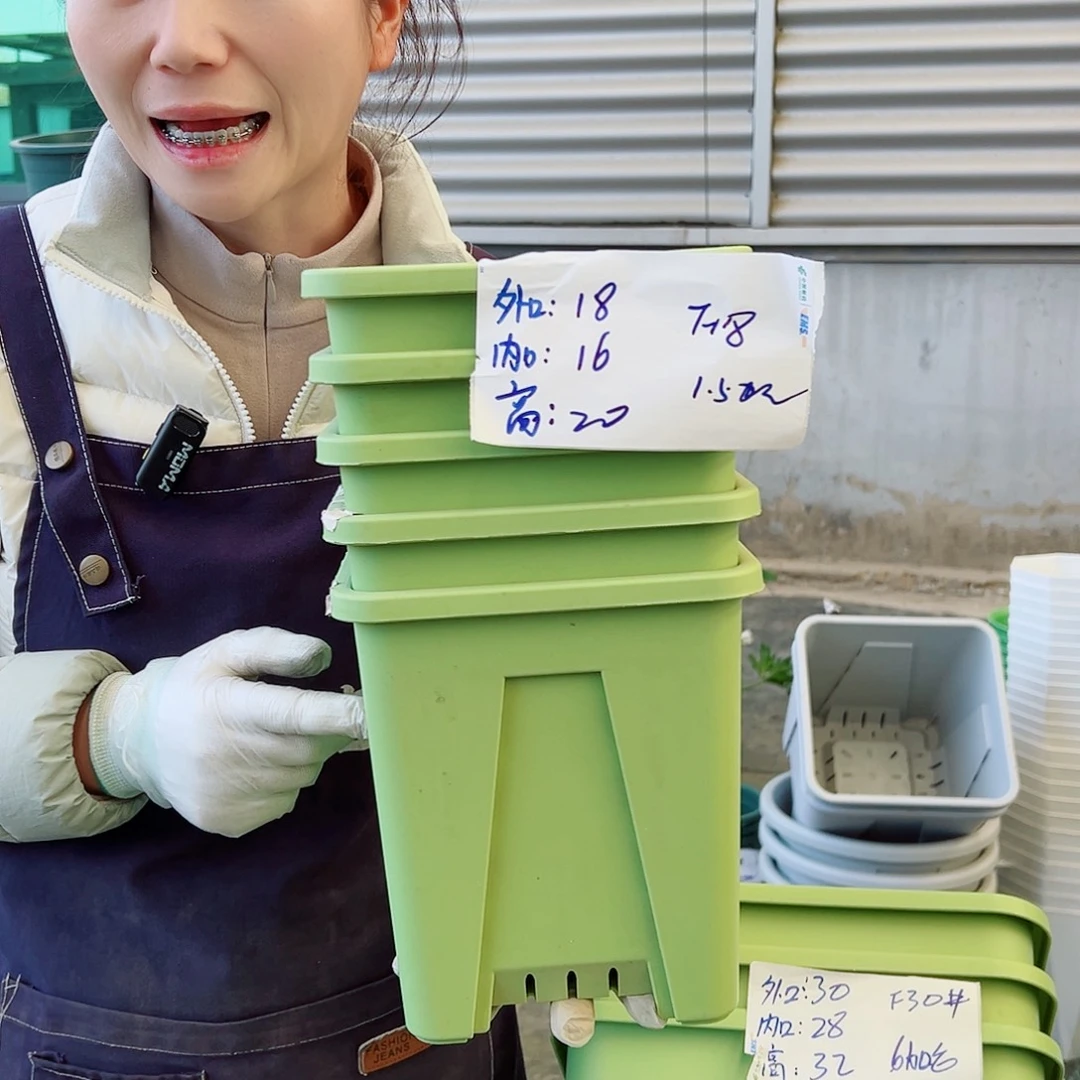 方盆F18果绿6个无托