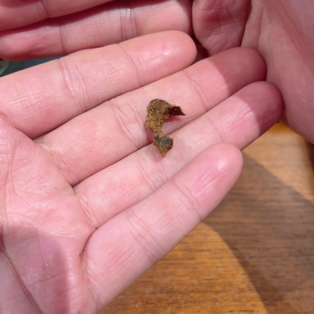 沉香木吊坠小*越南芽庄油结黄棋楠0.35g
