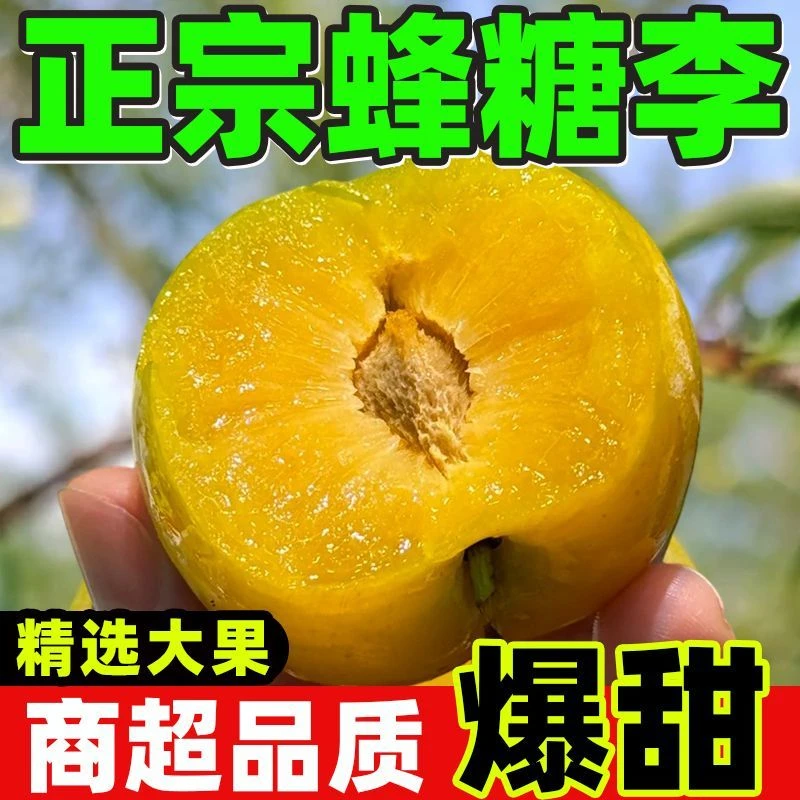 看清楚！【蜂糖李】贵州镇宁六马新鲜现摘脆甜脱骨蜂糖李当季水果3斤