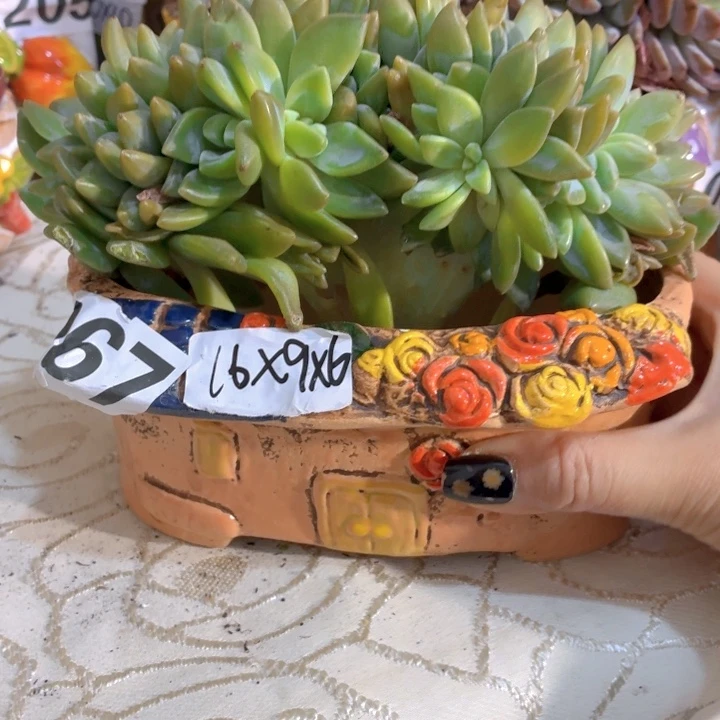 多肉花盆满15包邮