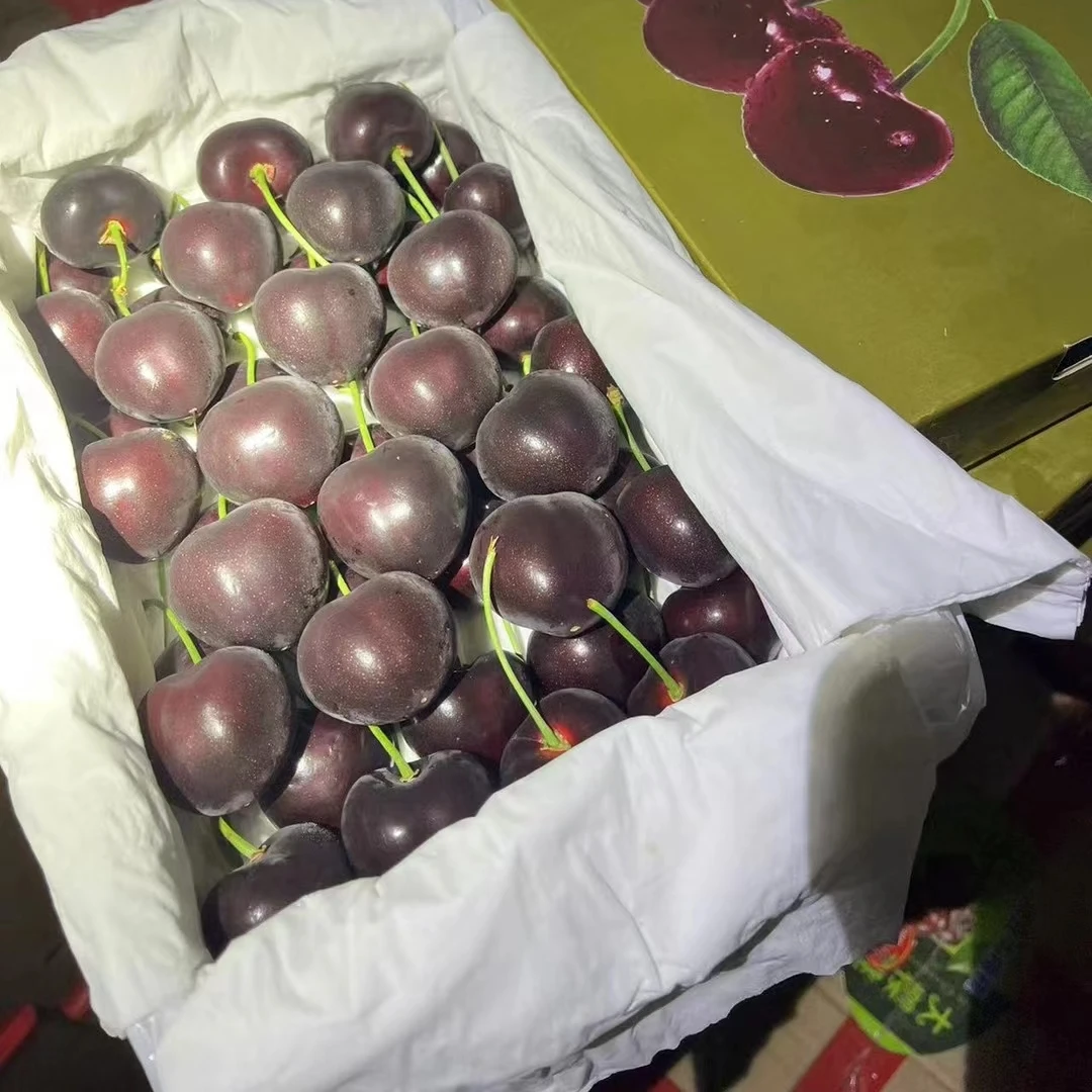 【俄8大樱桃】空运4J-6J 新鲜采摘脆甜多汁当季2斤