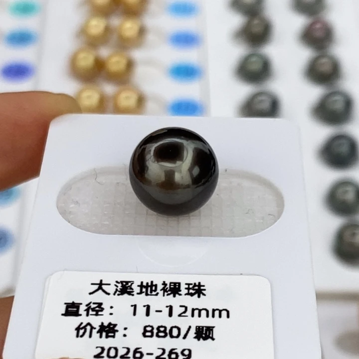 未镶嵌海水珍珠裸珠大溪地的1-12钢琴黑