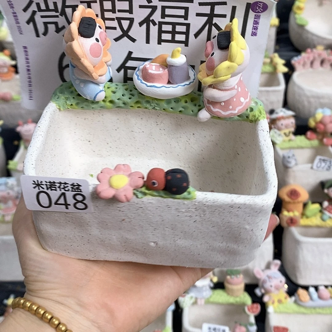 米诺多肉植物花盆048