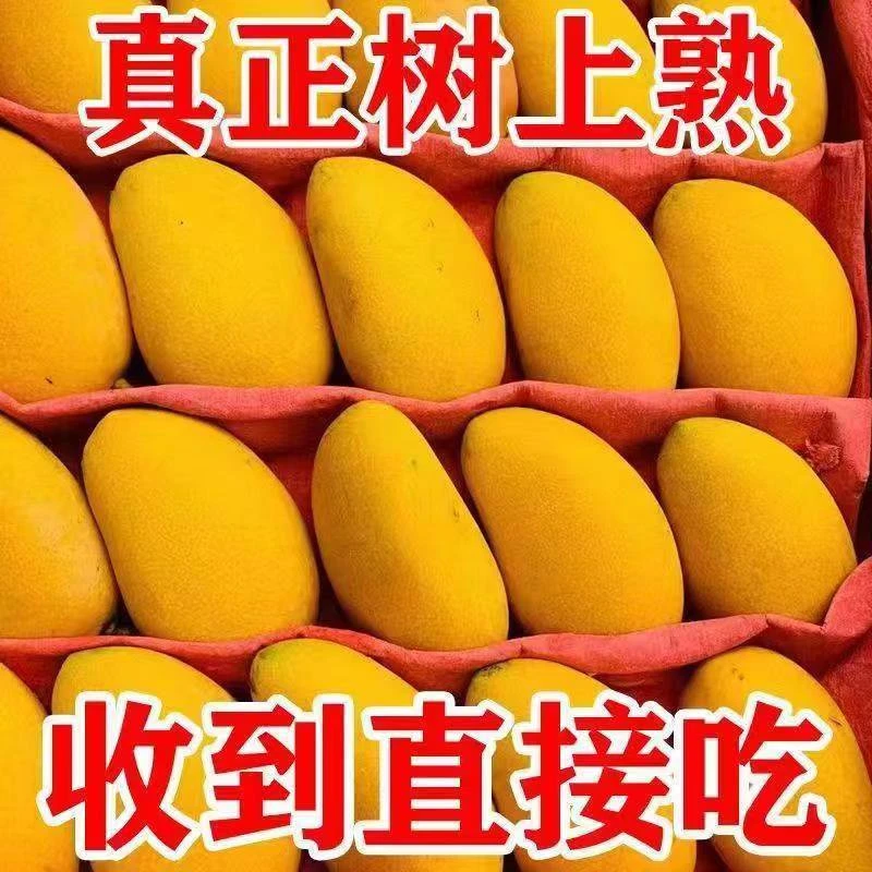 正宗海南芒果小台芒新鲜台农芒果香甜多汁热带水果现摘非贵妃金煌