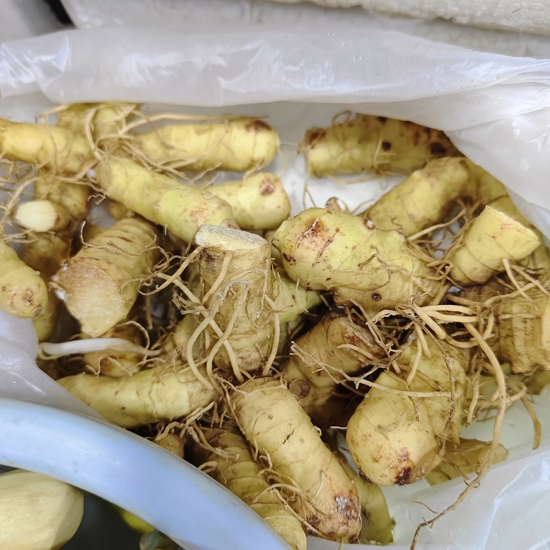 新鲜玉竹约250克 云岭综合市场菜旺达 海丰同城小时达派送上门 外卖当日达