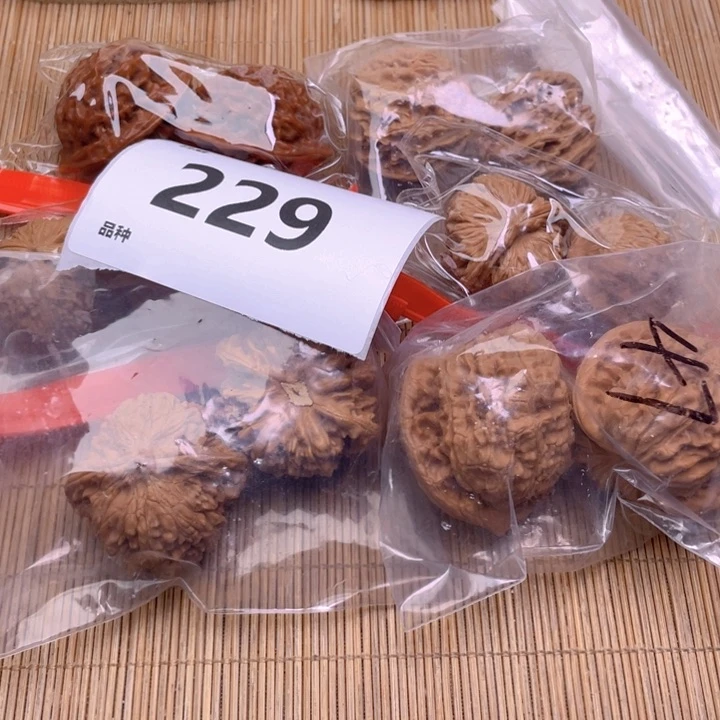 文玩核桃把件229号6对