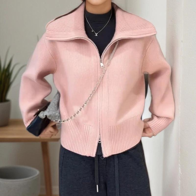 2025新款秋冬休闲显瘦百搭时尚拉链大翻领针织开衫LK2507415