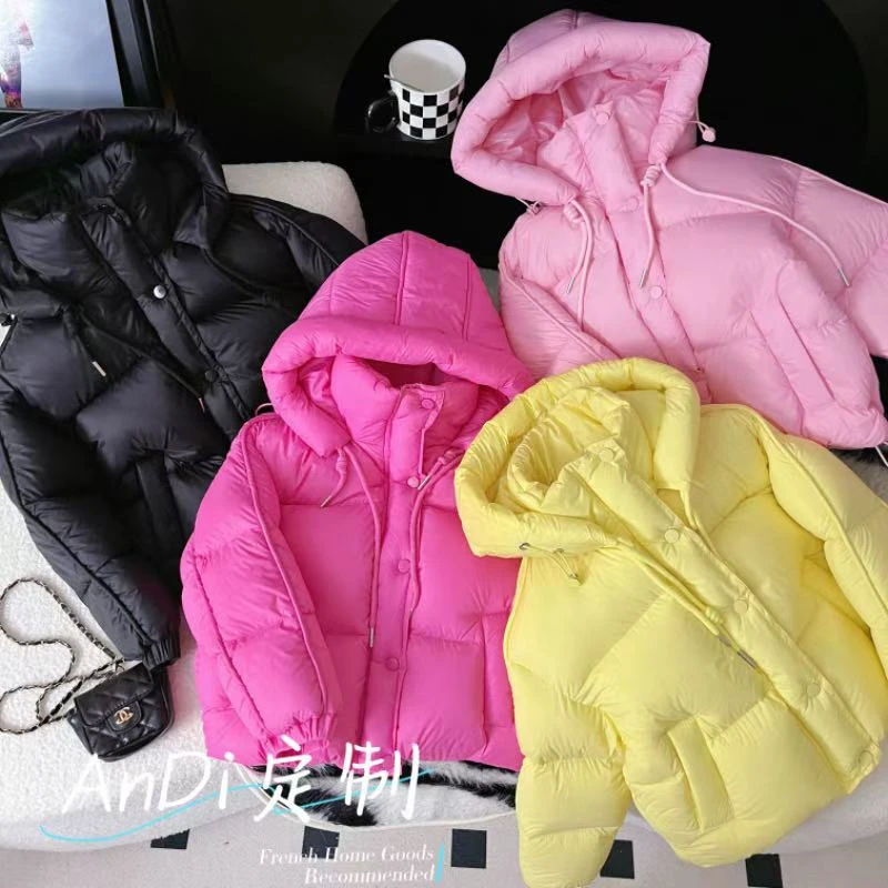 〖ANDI〗订制冬季新款中大童洋气纯色简约厚款连帽羽绒服5251