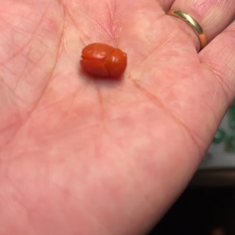 玛瑙/玉髓颈饰合金*️****