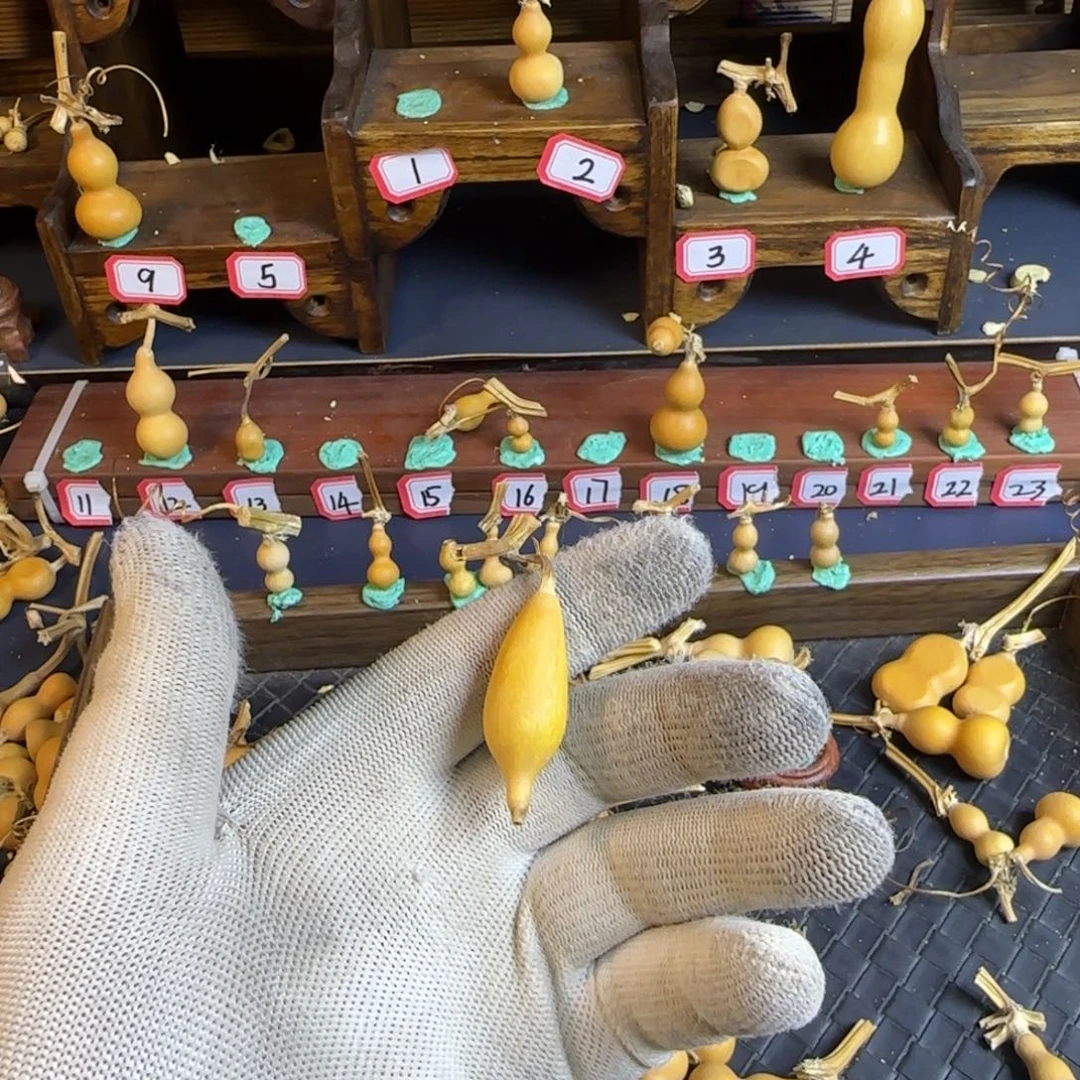 拒****生我的意思是我的意思是什么时候