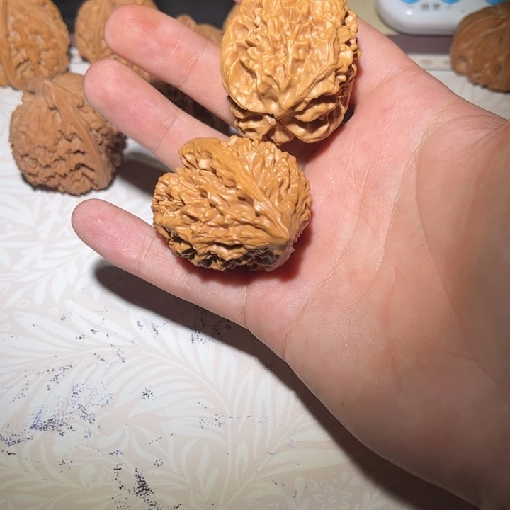 招财树打完底了直接上手