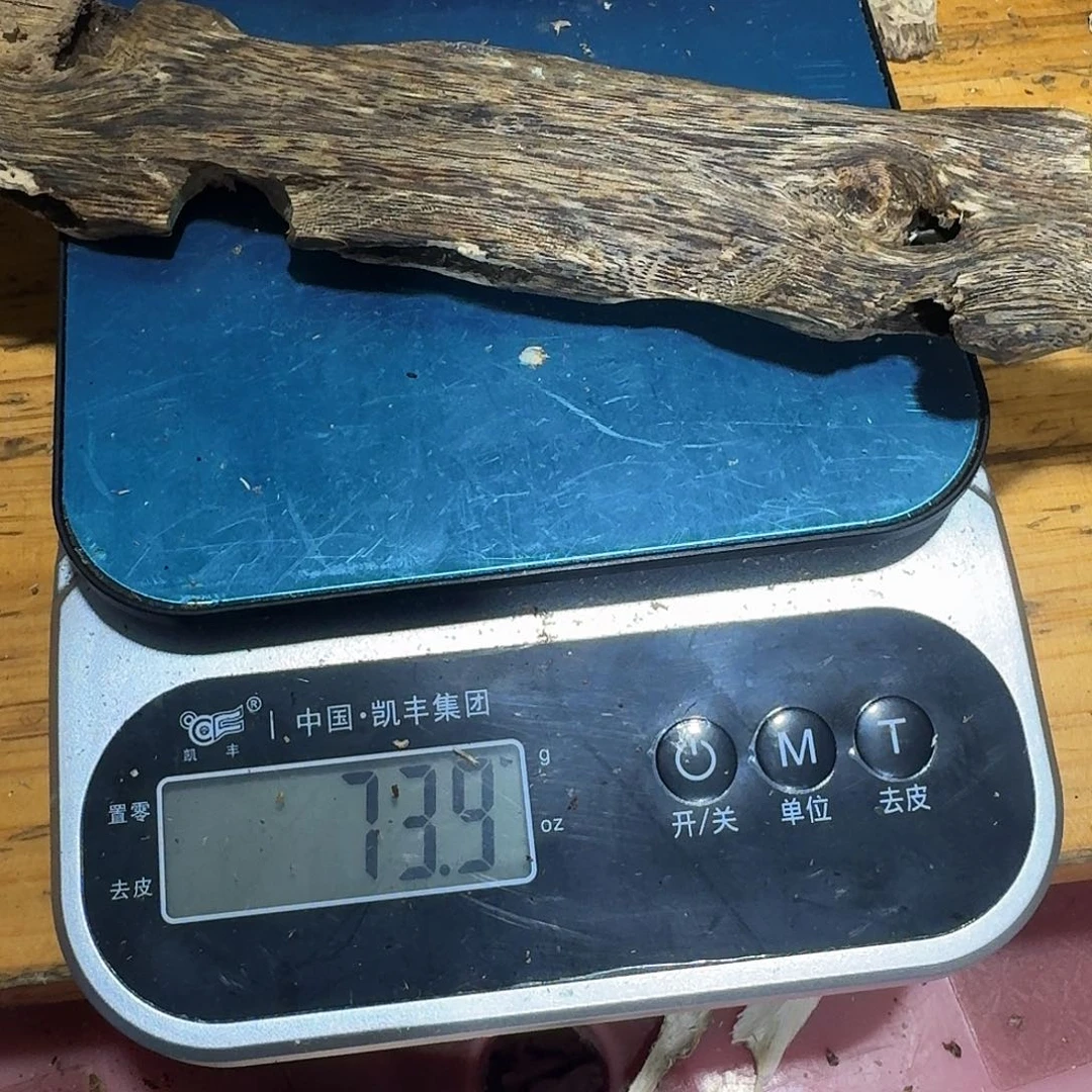 纯铜石英石陆河一代苗