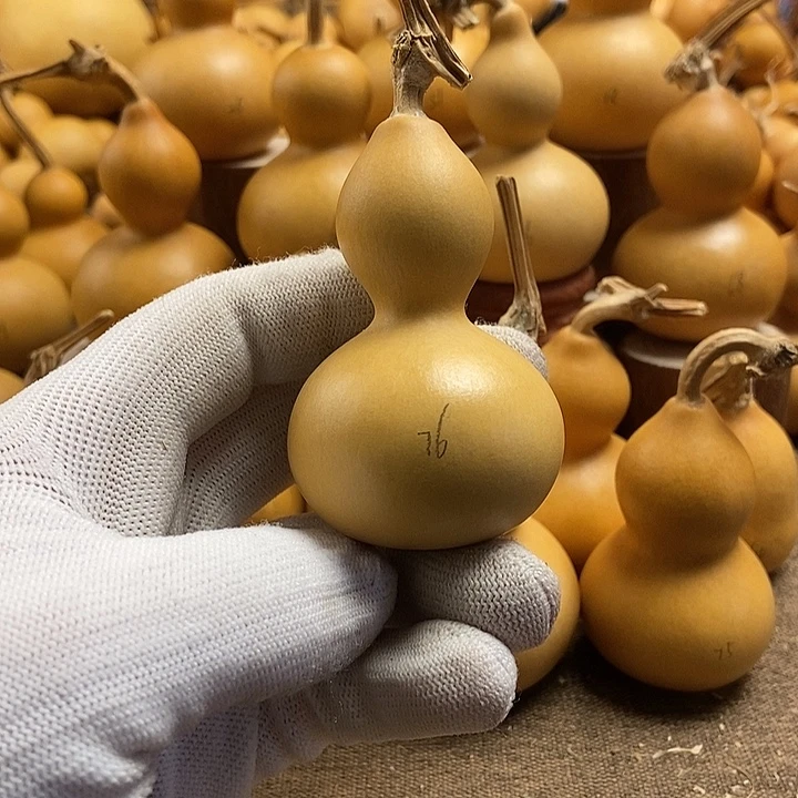 文玩葫芦 完美主义者 慎拍76