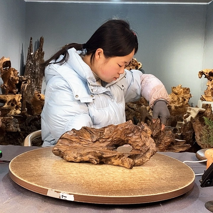 茶盏用****3496株木的随行的