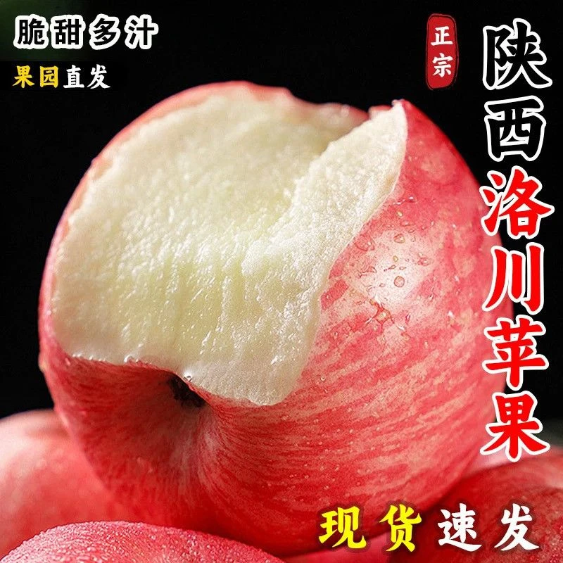 D【买五斤送5斤脆甜爆汁】正宗洛川红富士苹果脆甜多汁原产地直发