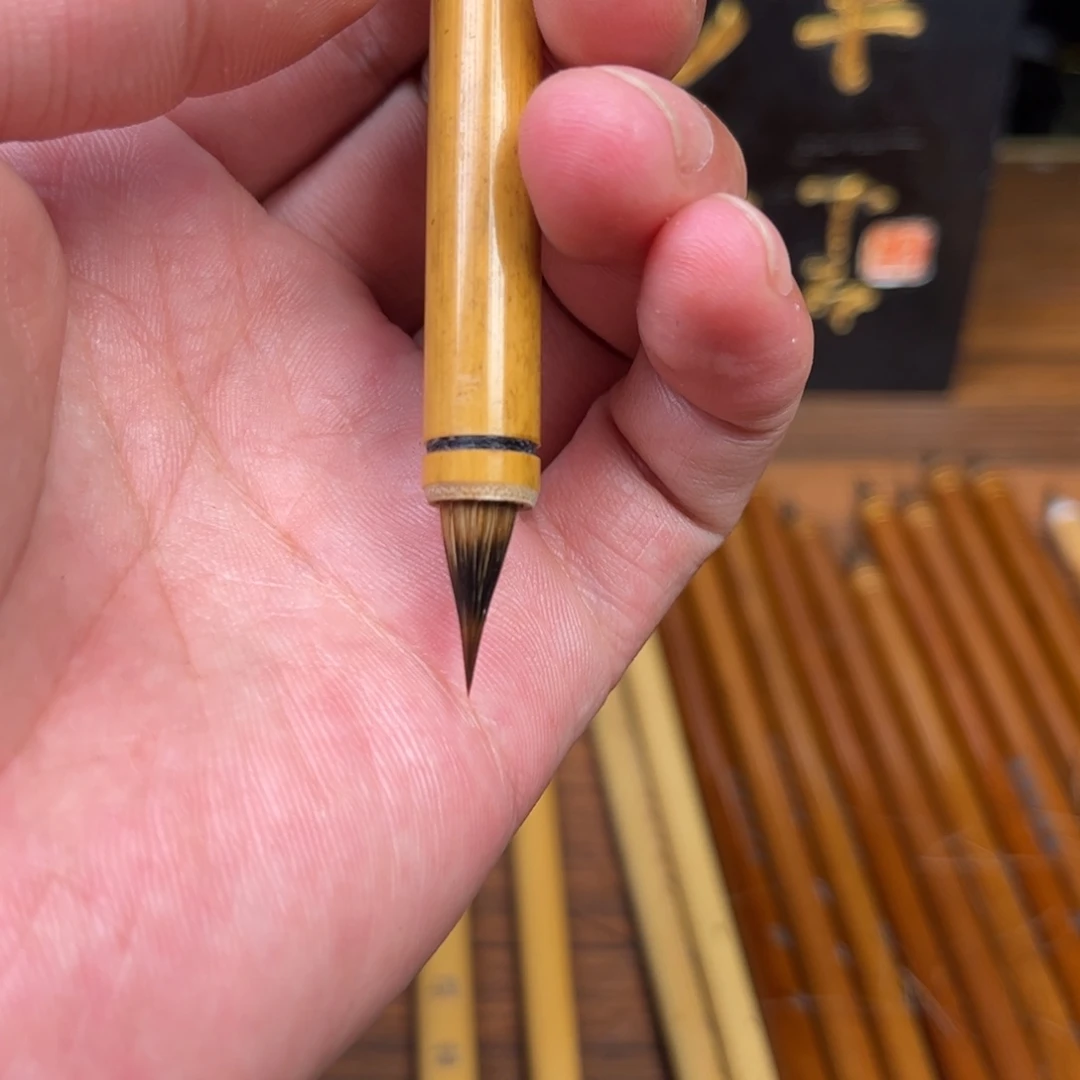 云舒 口径0.6 出锋1.6 三支