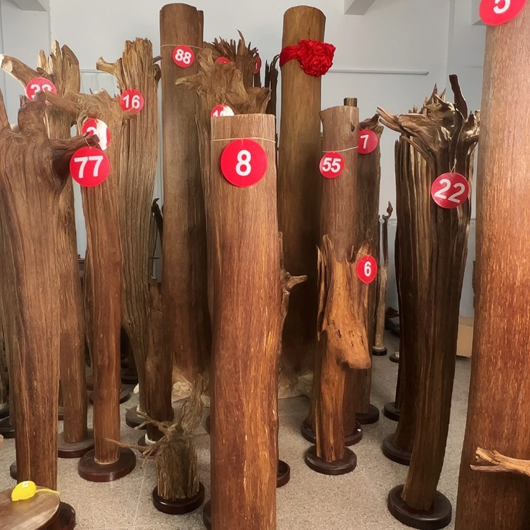 徐***明摆件沉香沉香原料H