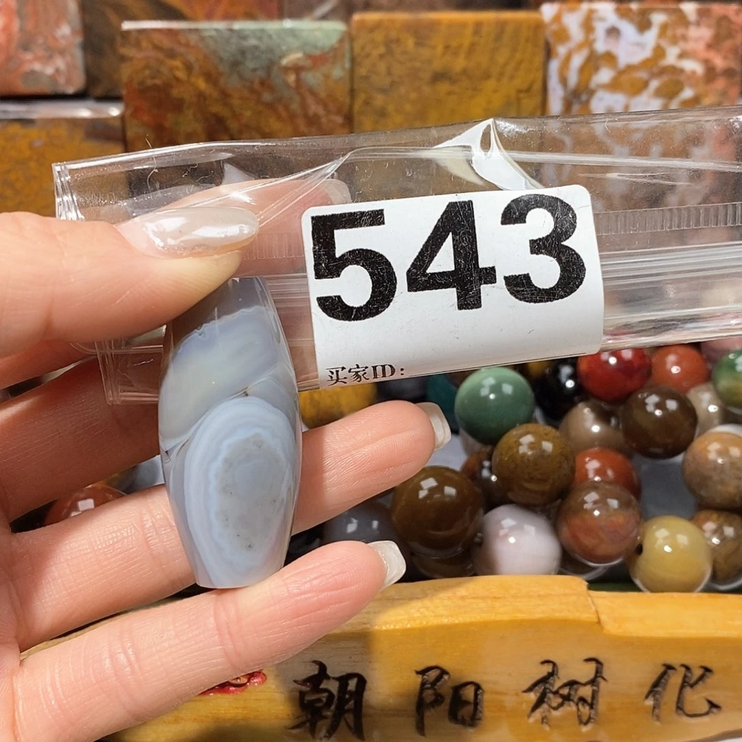 未镶嵌天然北票树化玉吊坠硅化玉