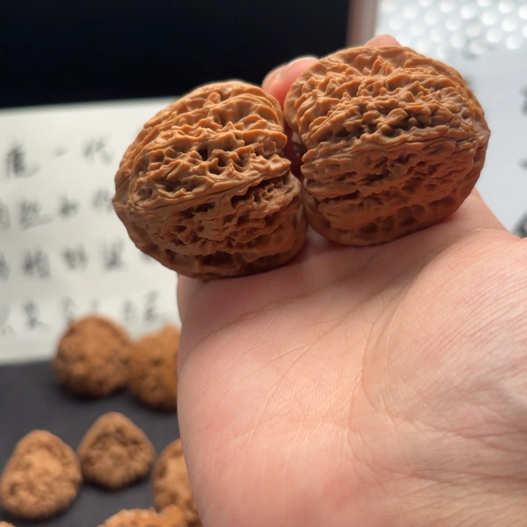 核桃涿鹿南疆涿鹿