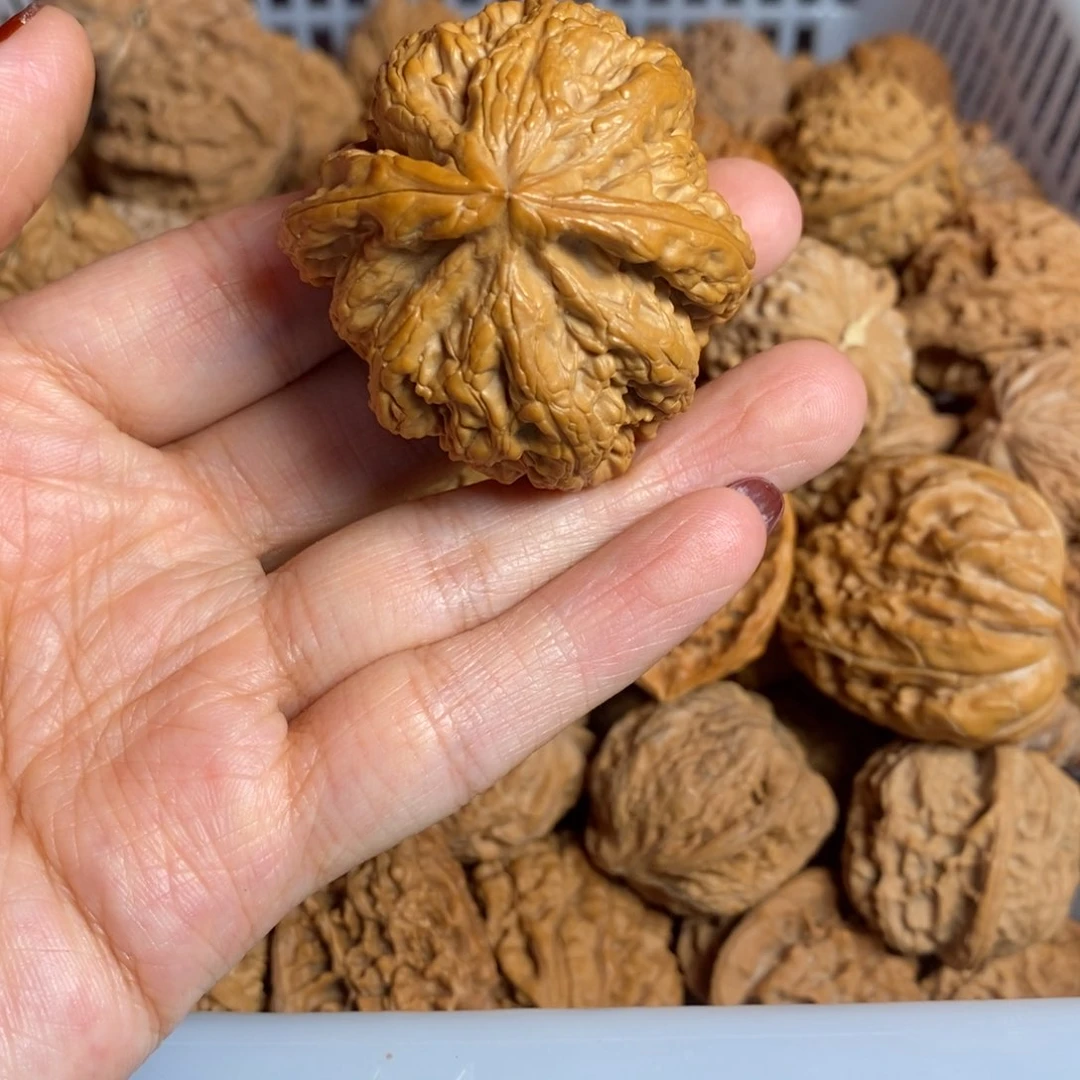 有***好文玩核桃把件文玩