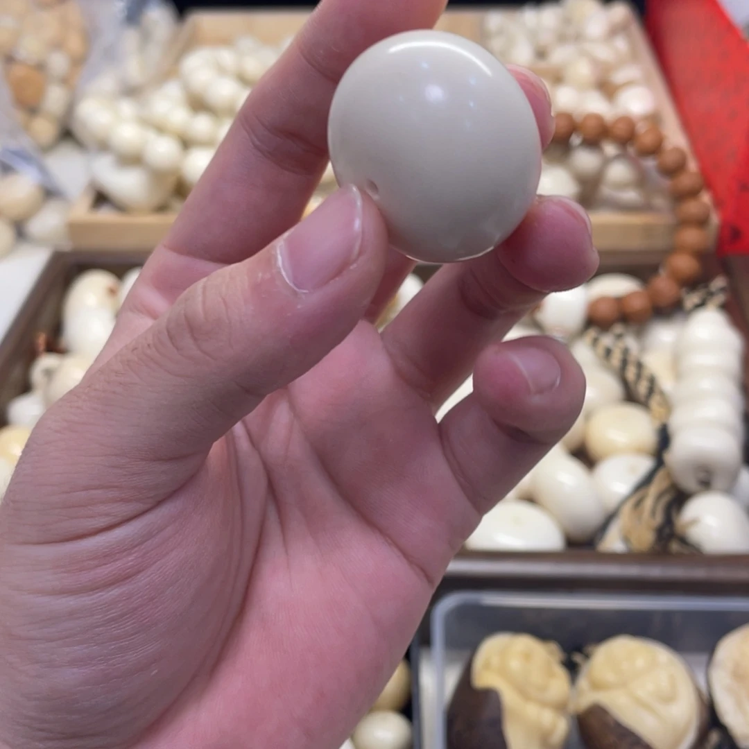 大***为吊坠菩提根/象牙果