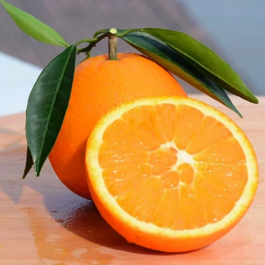 新鲜脐橙中果现釆现摘香甜多汁