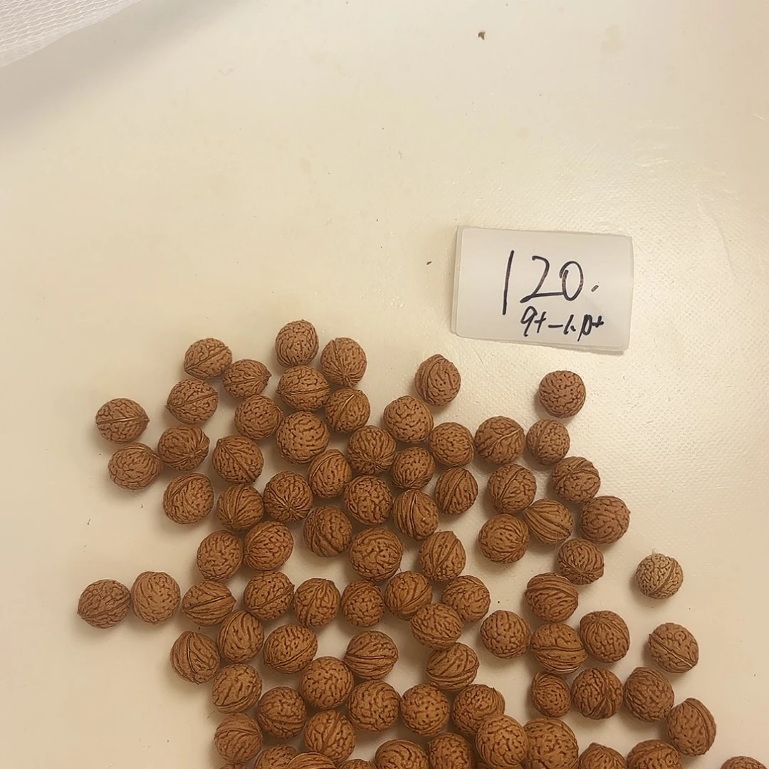 ****润吊坠桃核福利多多