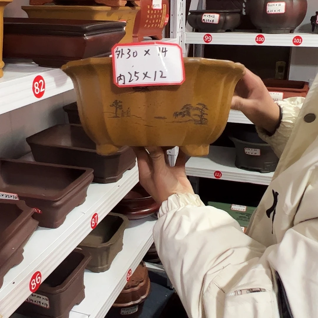 紫砂其他紫砂花盆