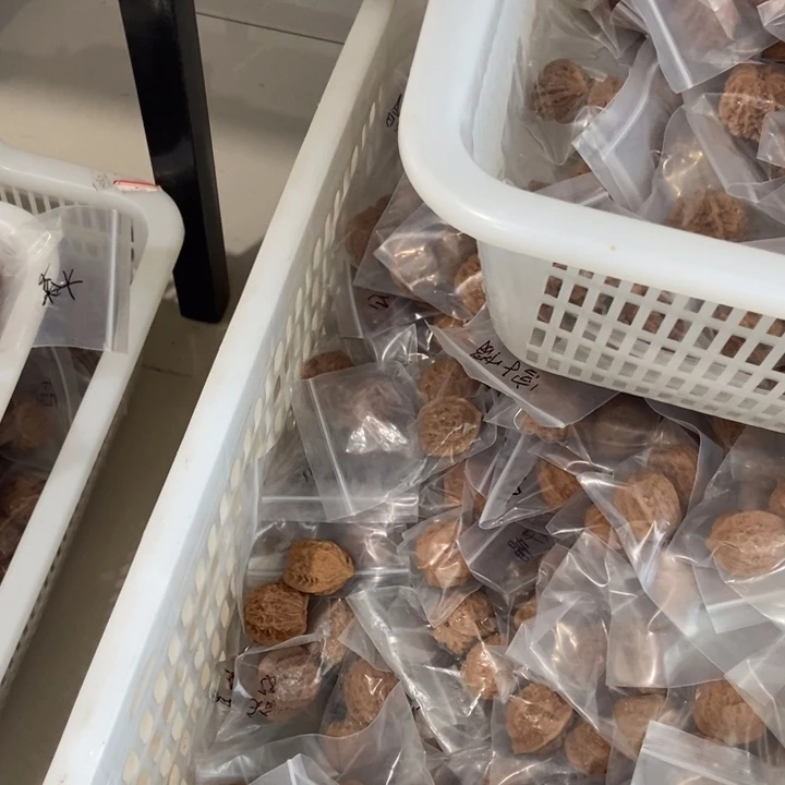 吊坠文玩核桃凯、楼手、虎、盘、灯瑕疵