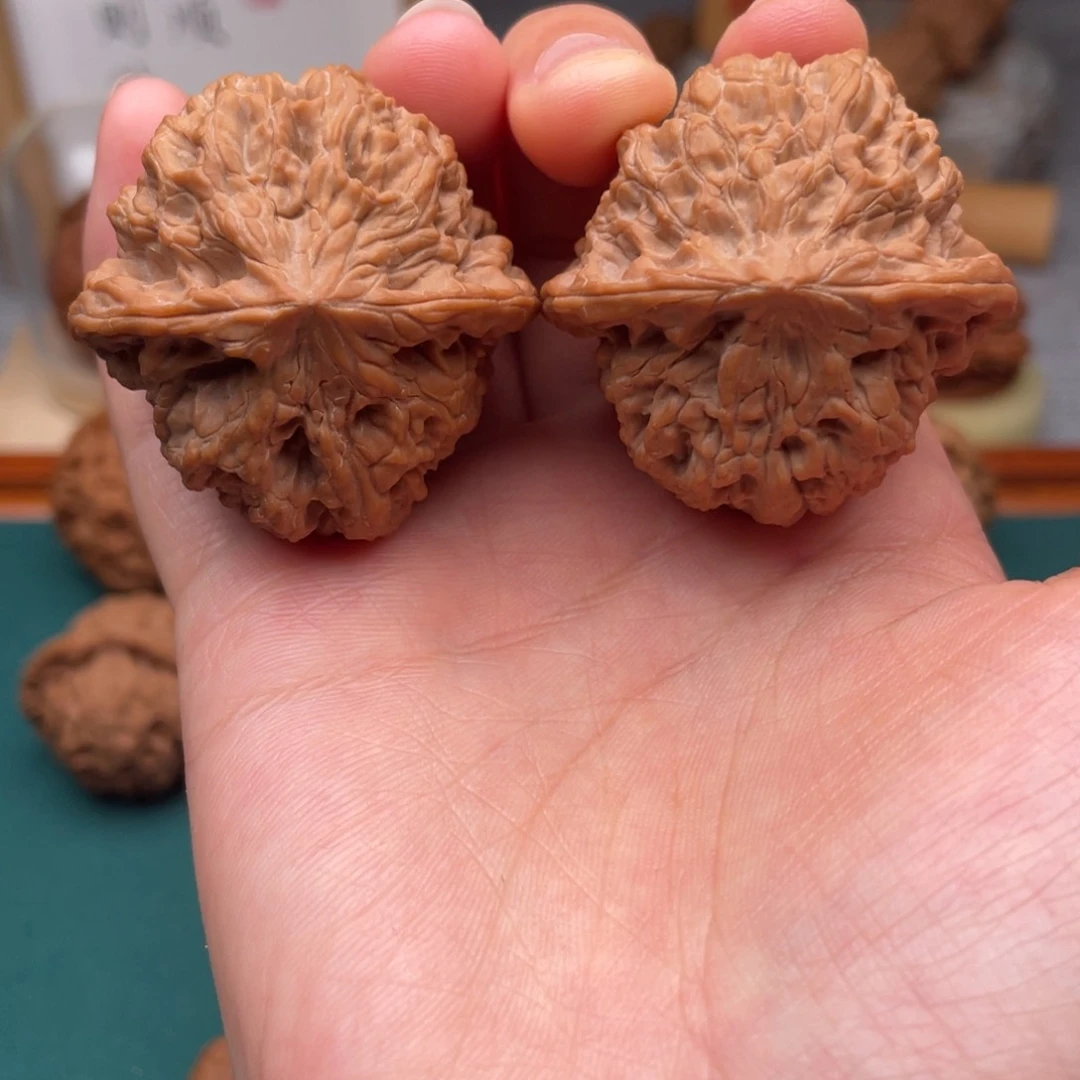 41尺全品无修红皮野牛。发发发