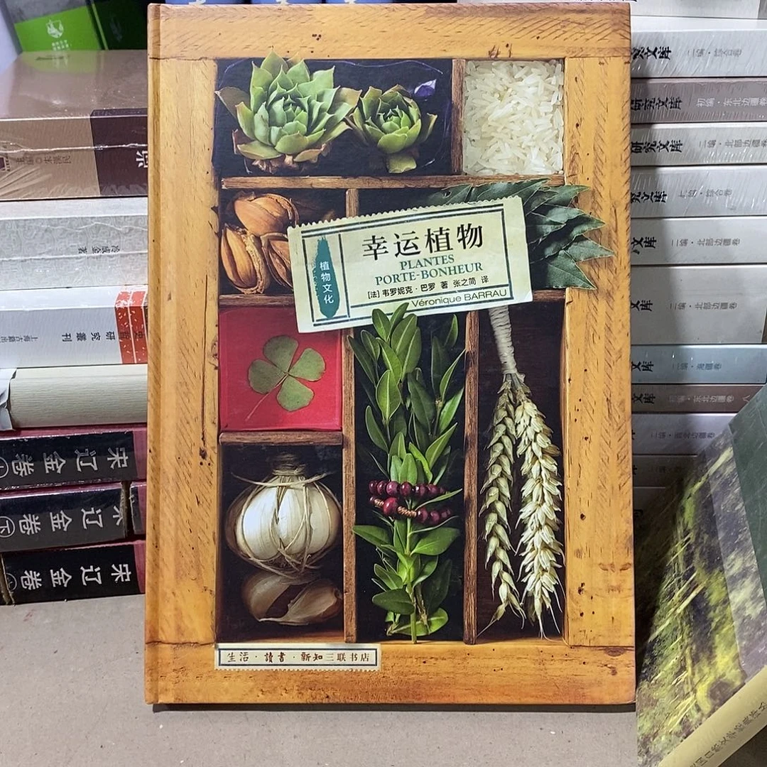 植物文化  幸运植物……