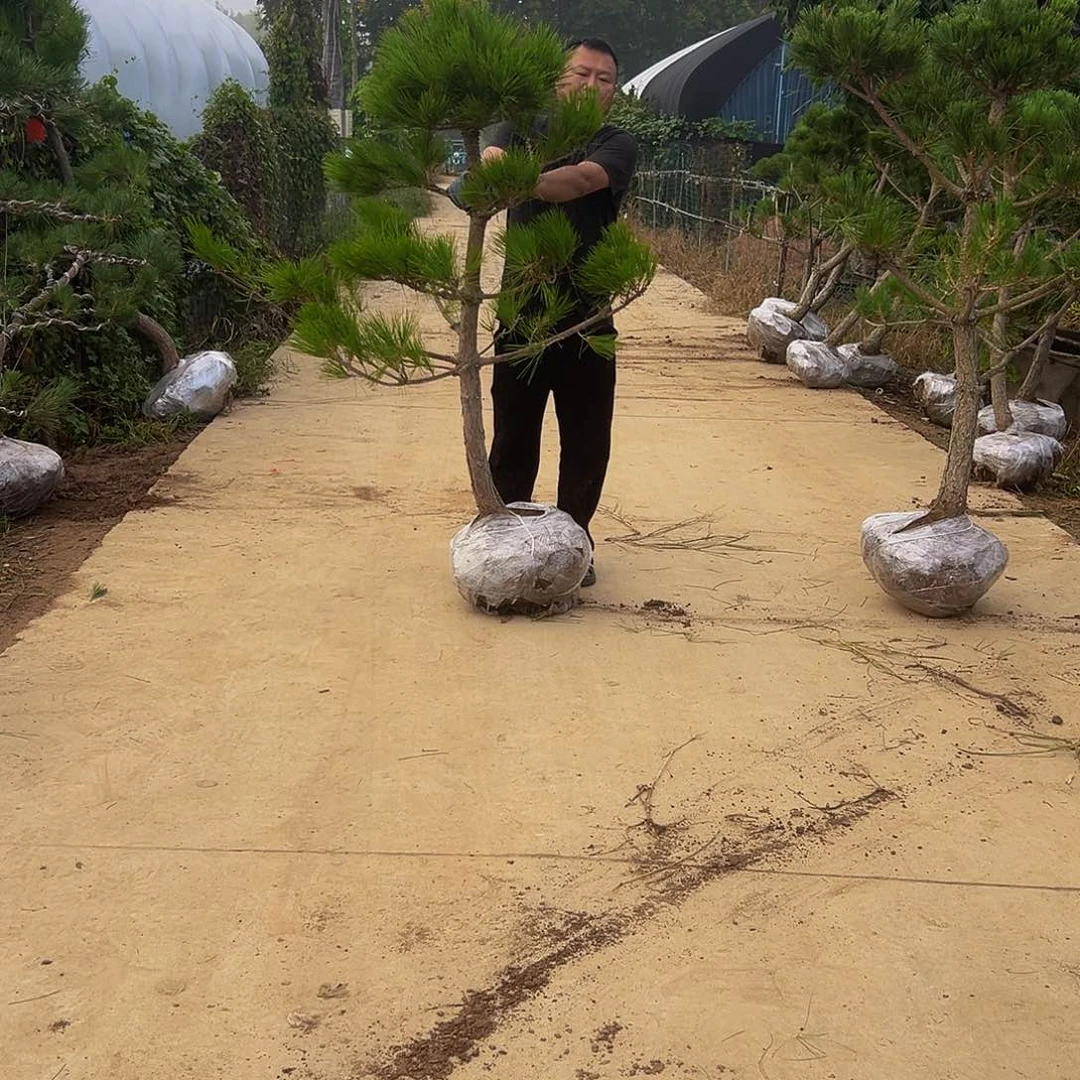 无花朵诚*8888888888888888