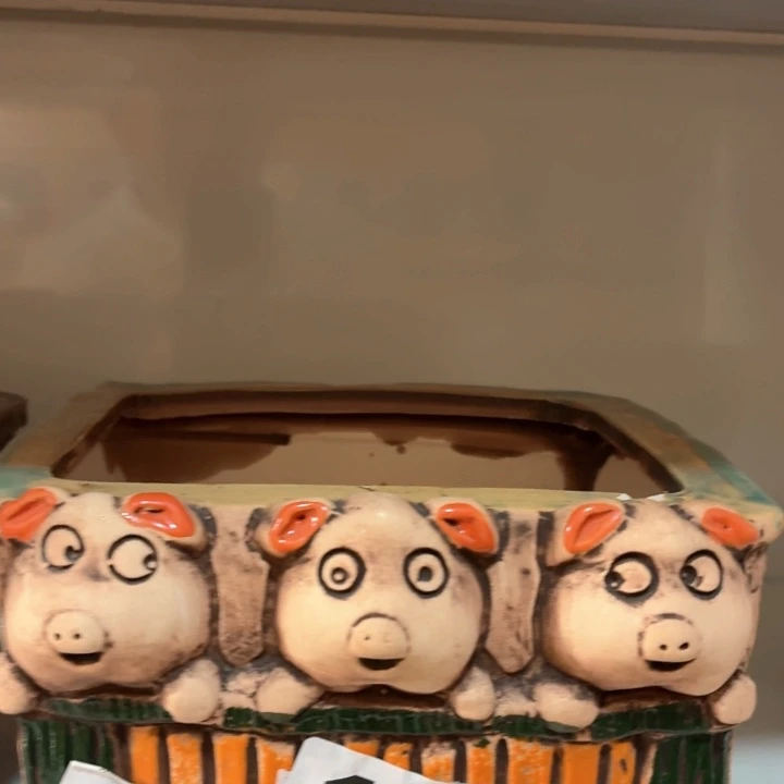 多肉花盆满15包邮