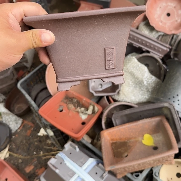 是一个集休闲农业的休闲胜地