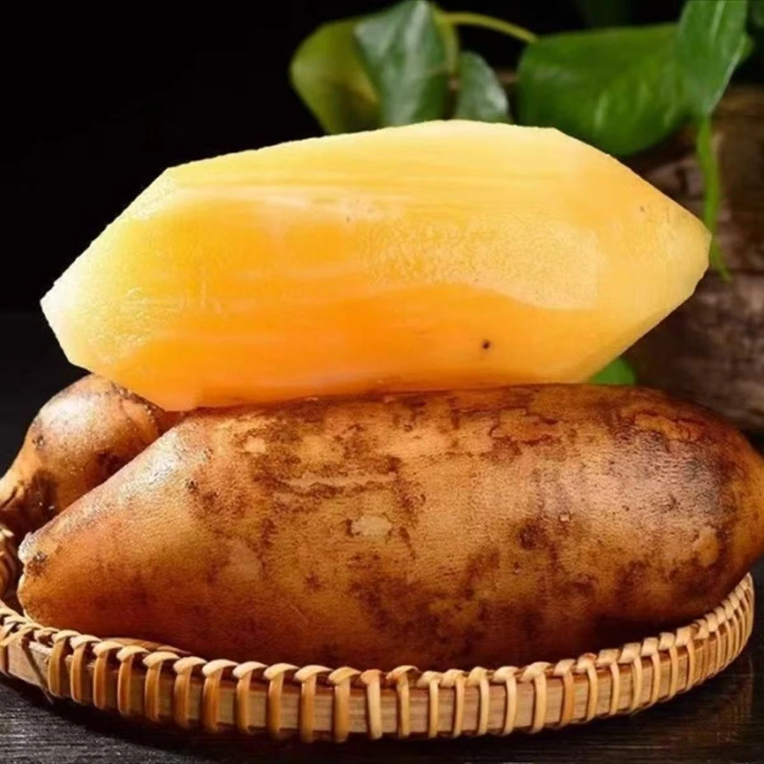 云南天山雪莲果应季水果甜脆多汁新鲜现挖清甜多汁低糖水果