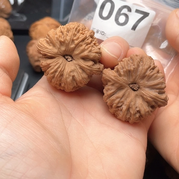 文玩核桃把件南疆