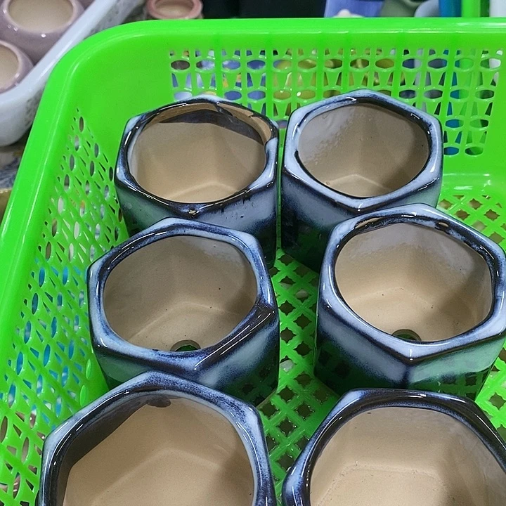 花盆抢购清货马上开始